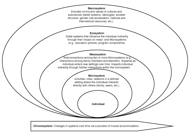 Figure 1: Ecological Model of Interplay Among Persons and Contexts