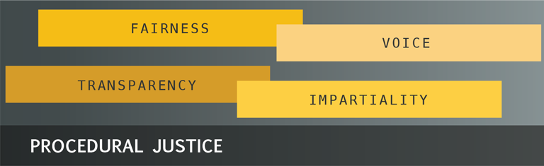 The Four Pillars of Procedural Justice. This diagram shows four colored rectangles representing the four pillars: Fairness, Transparency, Voice, and Impartiality.